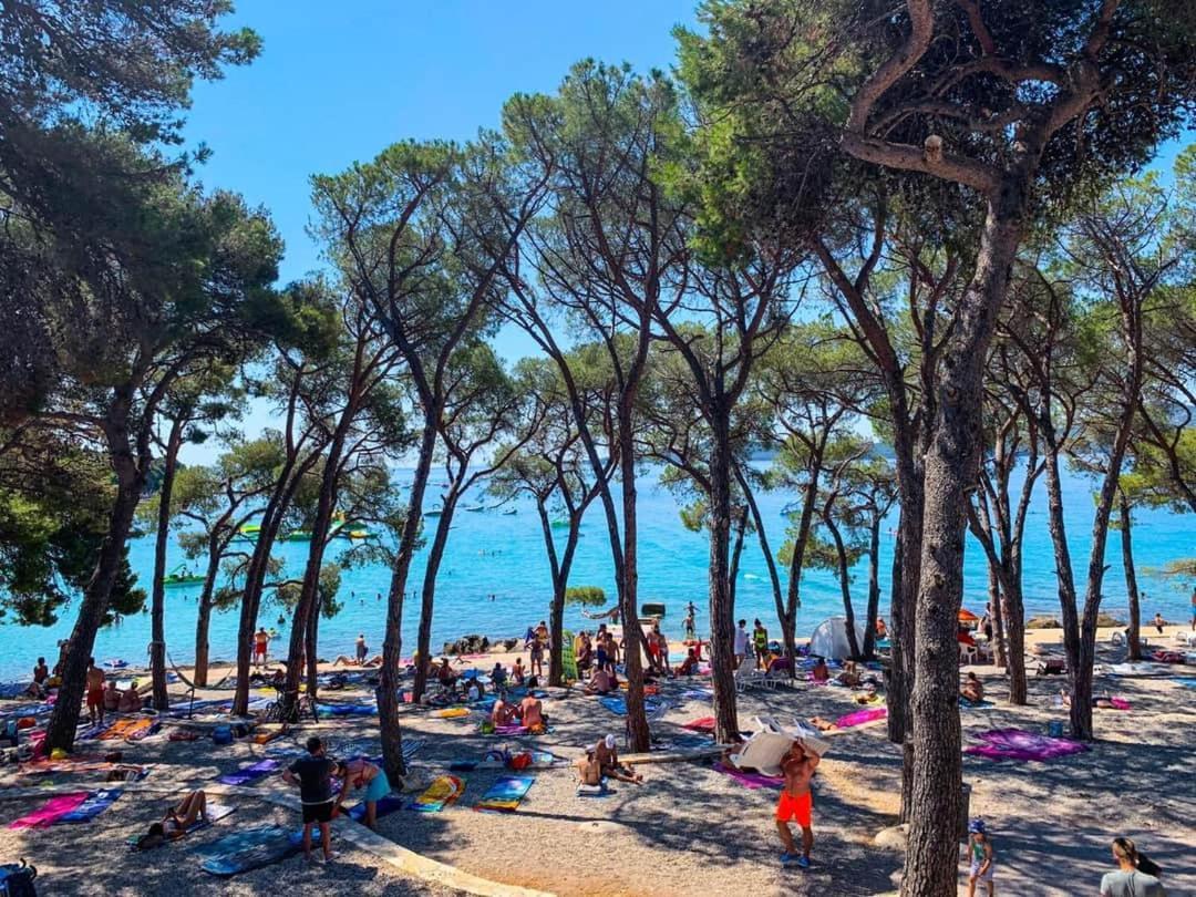 Apartmani Leon Biograd Na Moru Exterior photo
